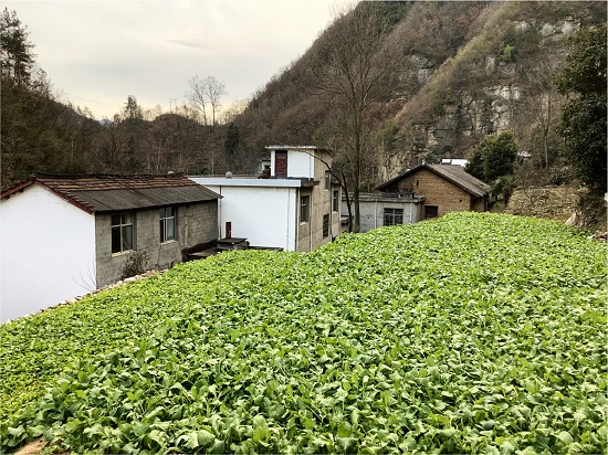 商洛市商南縣鄉建設用地增減挂鈎項目.jpg
